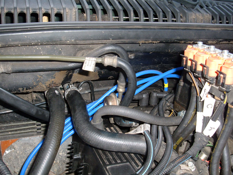 Montage d'un Faisceau Magnecor pour un 4.6L GEMS Web5279